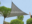 Tuindeco schaduwnet driehoek 550 x 550 cm zandbeige